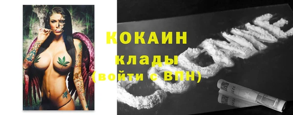 spice Михайлов