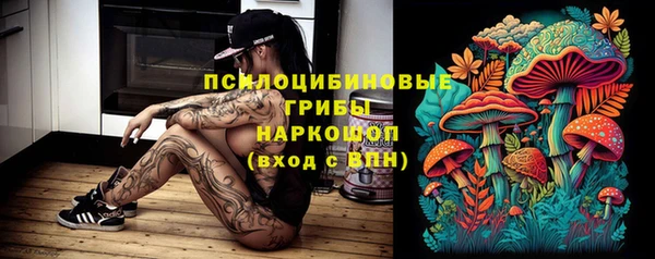spice Михайлов
