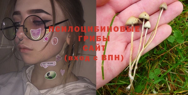 spice Михайлов