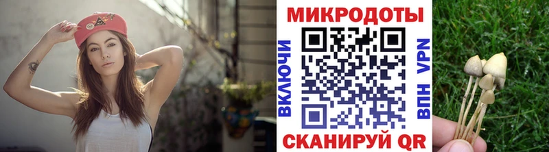 Псилоцибиновые грибы Psilocybine cubensis  Купить  Донской 